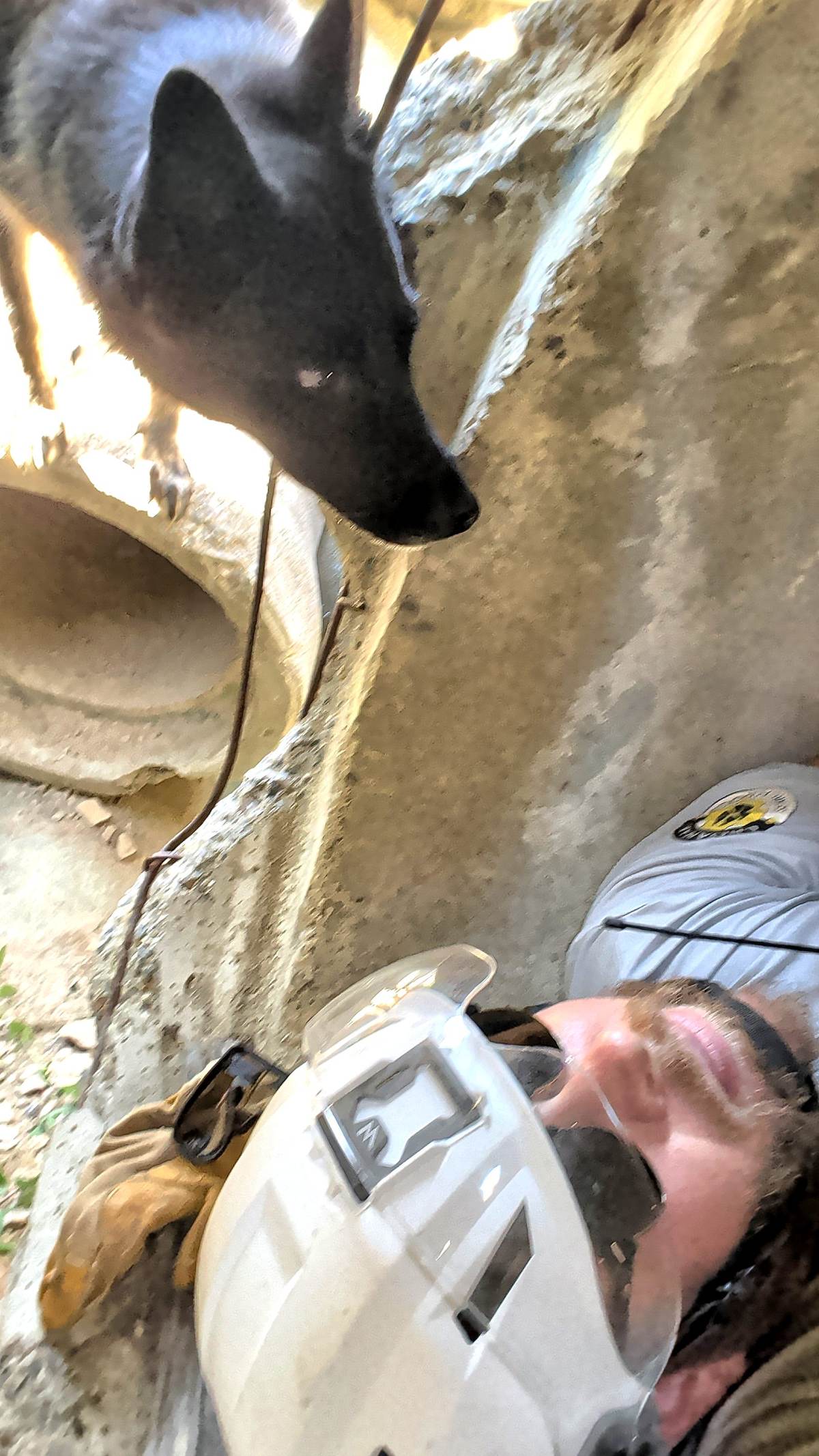 Candid moment with the search dog during a training exercise
