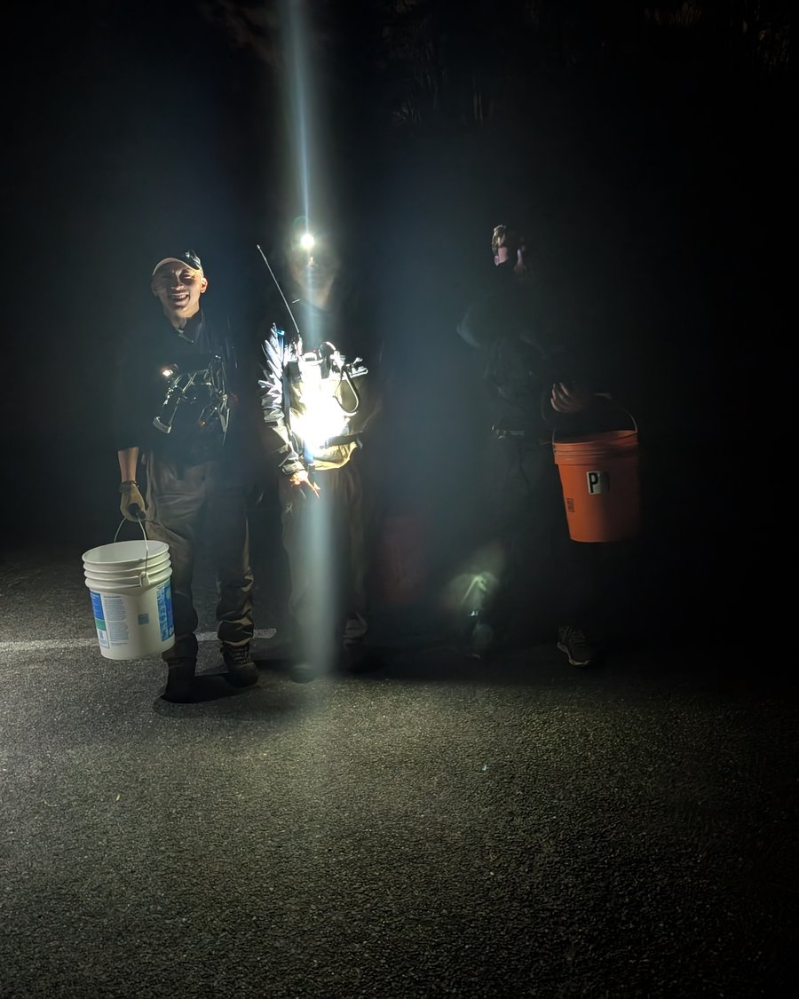 Night search operation with a handheld light